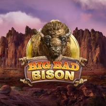 Stor stygg bison