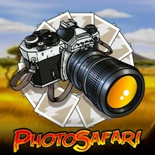 Safari photo