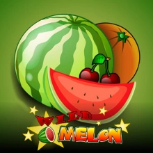 Melon sauvage