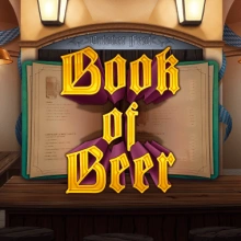 Livre de la bière