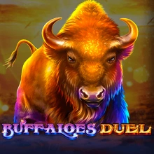 Büffel Duell