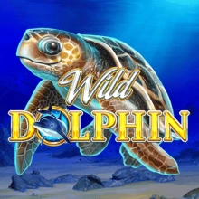 Wilder Delfin