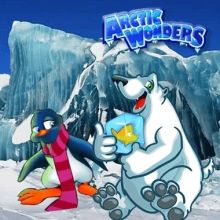 Arctic Wonders