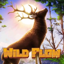 Wild Flow