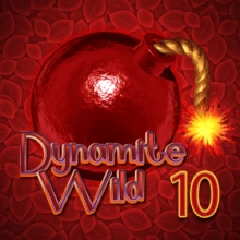 Dinamita salvaje 10