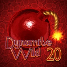 Dinamita salvaje 20