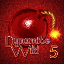 Dinamita salvaje 5