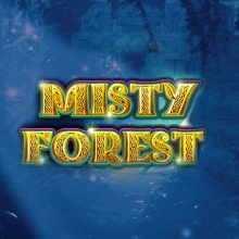 Misty Forest