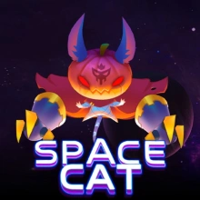 Chat de l'espace