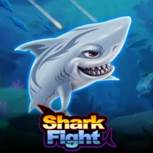 Combat de requins