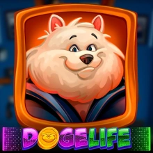 Doge Life