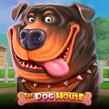 La niche du chien
