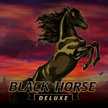 Black Horse Deluxe