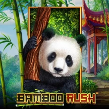 Jonc de bambou
