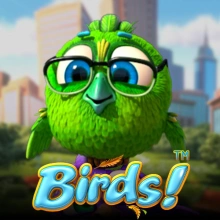 Les oiseaux !