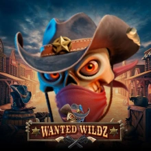 Halutaan Wildz