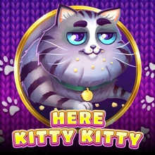 Täällä Kitty Kitty