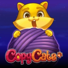 Copiar Gatos