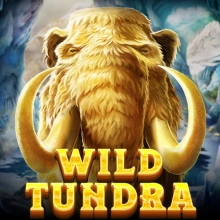 Villi tundra