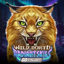 Ciel radieux du Grand Nord – Collection GO