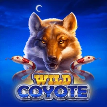 Coyote sauvage