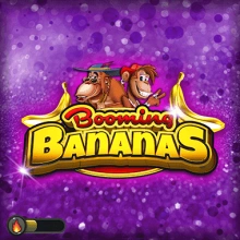 Les bananes en plein essor