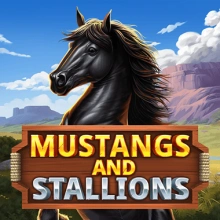Mustangs et étalons