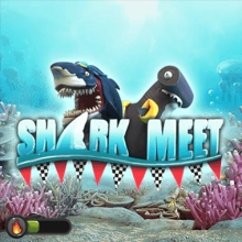 Rencontre avec les requins