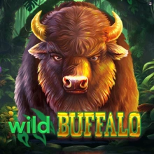 Búfalo salvaje