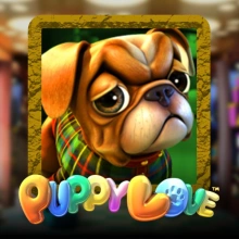 L'amour du chiot PLUS