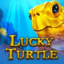 Tortue chanceuse