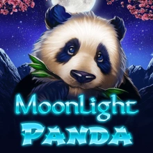 Panda au clair de lune