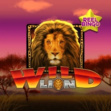 Wild Lion Reel Bingo