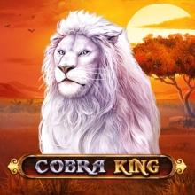 Kobrakönig