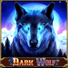 Dunkler Wolf