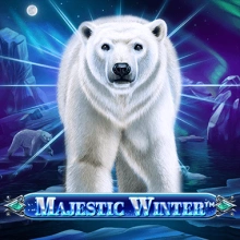 Majestätischer Winter