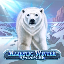 Majestätischer Winter – Lawine