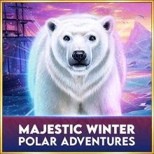 Majestätischer Winter – Abenteuer in der Arktis