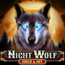 Night Wolf - Tenir et frapper