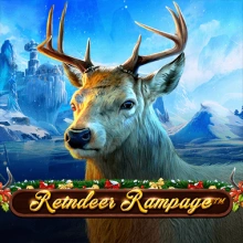 Rentier-Amoklauf