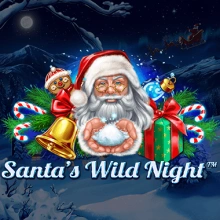 Die wilde Nacht des Weihnachtsmanns