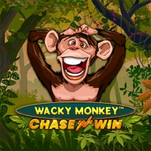 Wacky Monkey – Chase'N'Win