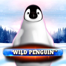 Wildpinguin