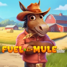 Drivstoff til Mule Tophit