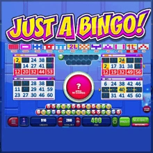 Sólo un bingo
