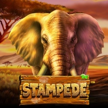 Stampede