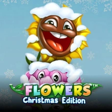 Flores Edição de Natal