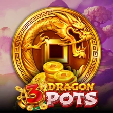 3 macetas de dragón