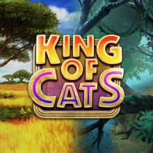 Kongen av katter