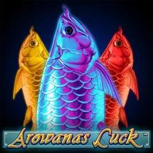 Arowanas Luck
